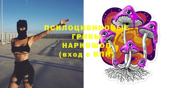 мдпв Няндома