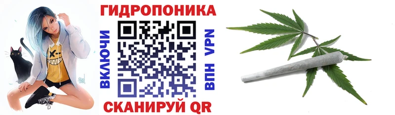 Купить  Комсомольск  Каннабис сатива 